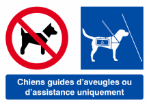 OBAC : une meilleure accessibilité des maîtres et de leur chien guide
