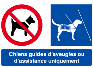 OBAC : une meilleure accessibilité des maîtres et de leur chien guide