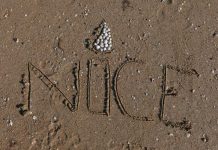 NICE : Hommage – Les taxis véhiculent bénévolement les familles